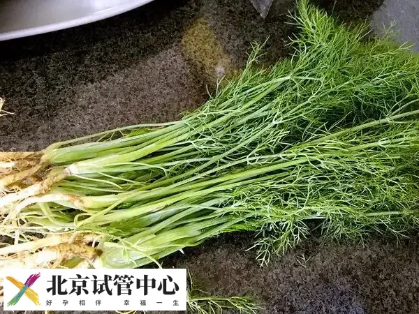 胚胎移植后能不能吃小茴香(图1)