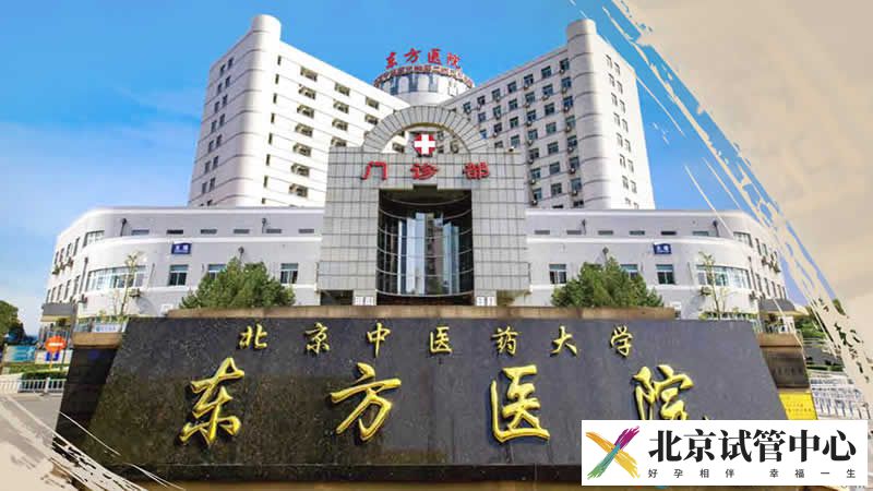 北京中医药大学东方医院 北京东方医院(图1)
