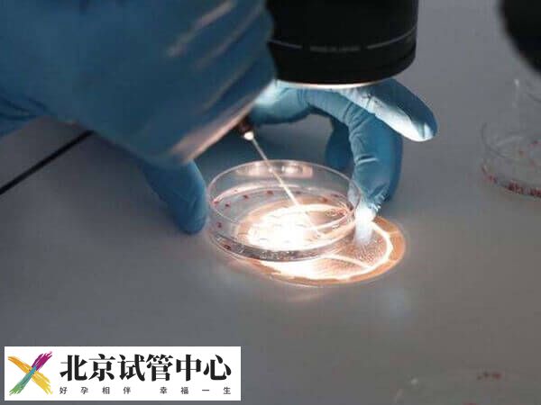 北京三代试管婴儿流程是怎样的(图2)